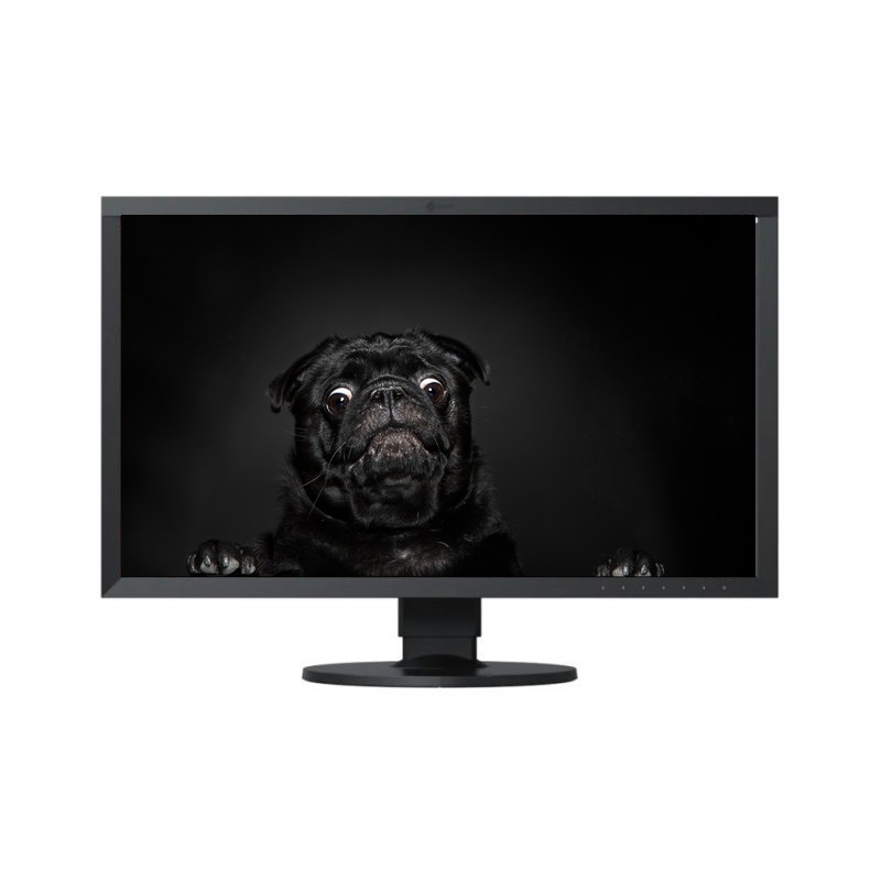 hire eizo monitor dublin