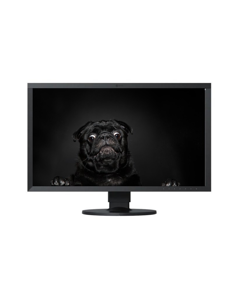 hire eizo monitor dublin