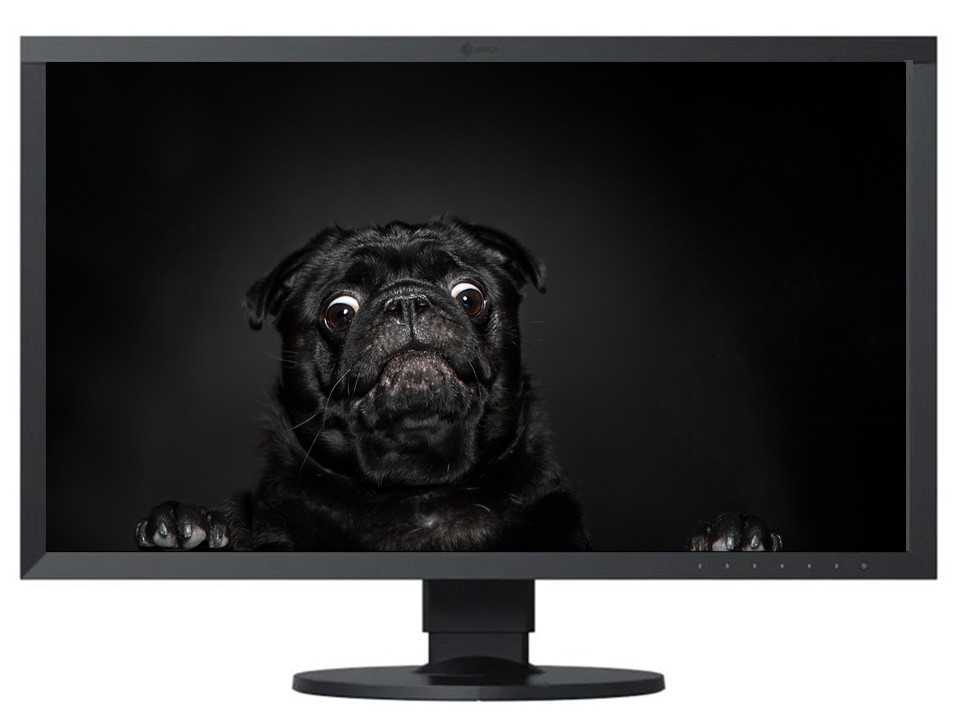 Eizo monitor rental, DigiOp