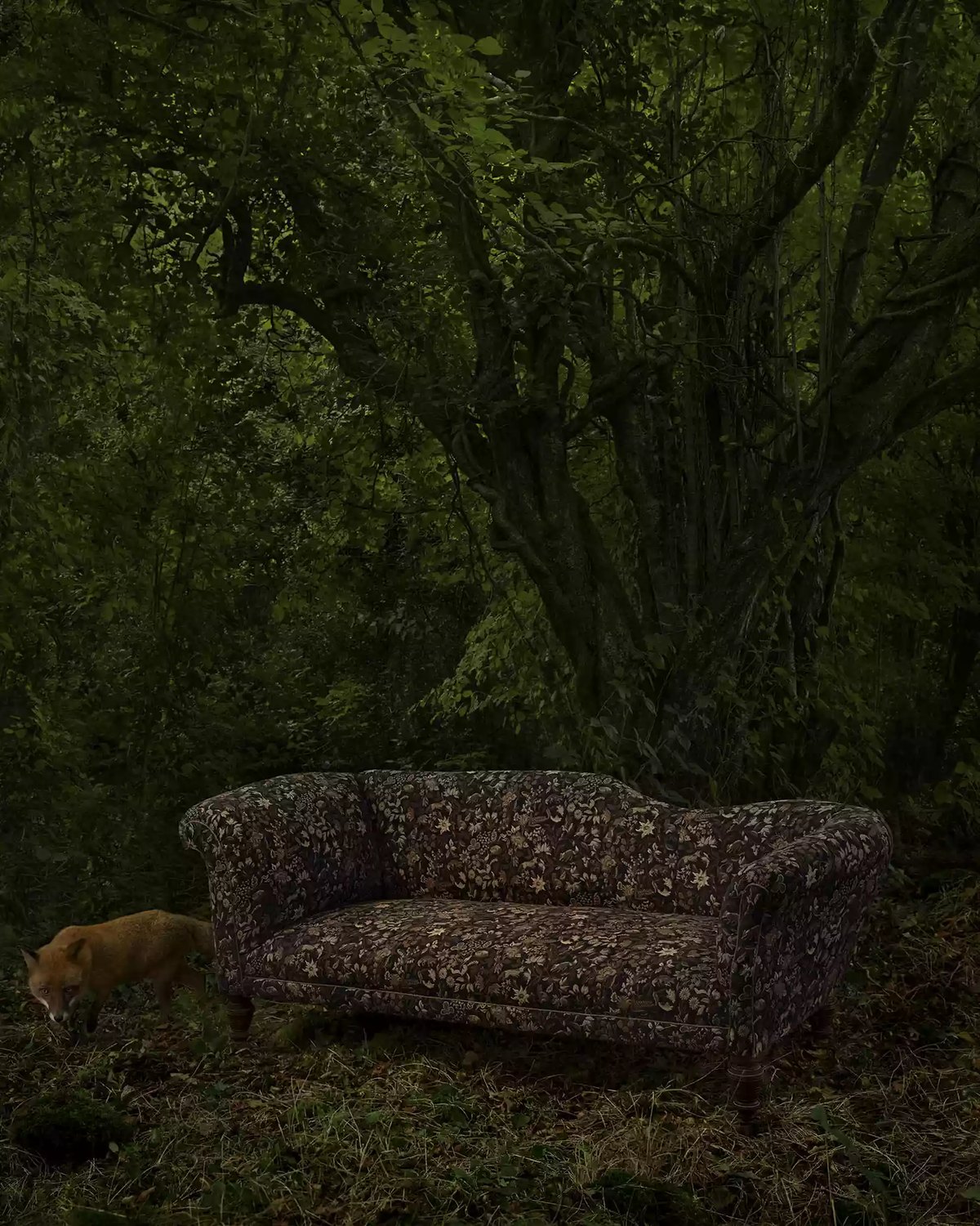 Zak and Fox, fabric collection, digital operating by DigiOp